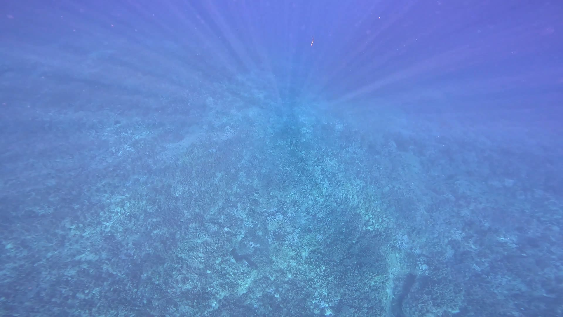 阳光穿透蓝色海水，照亮前行的方向